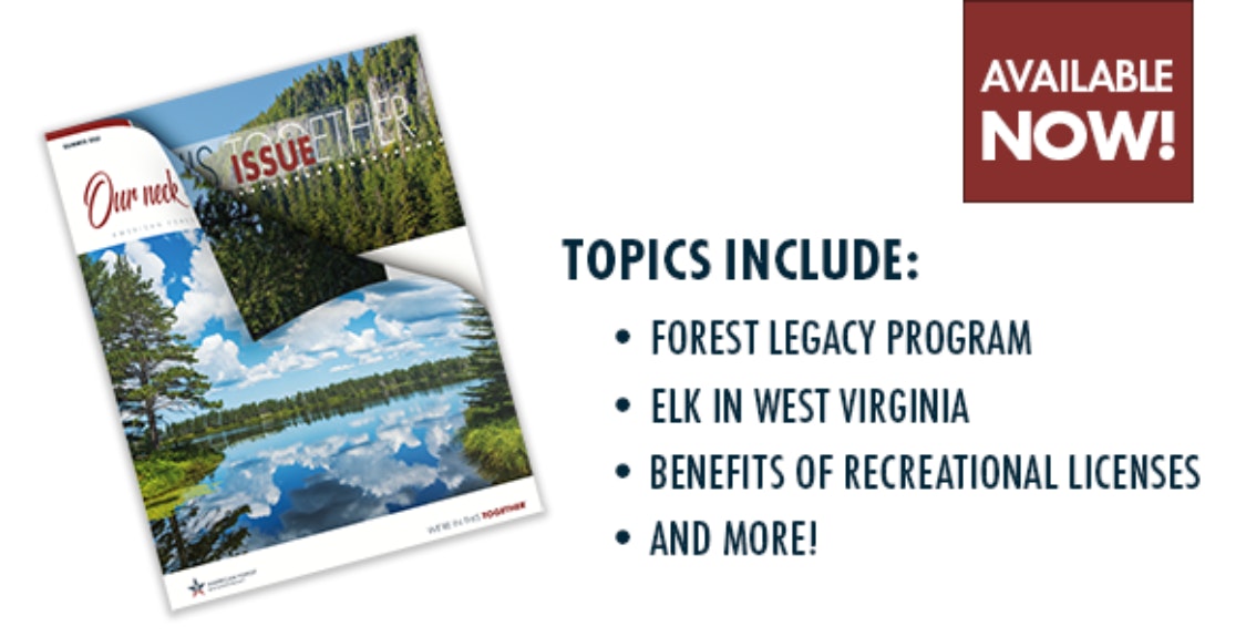 Summernewsletter