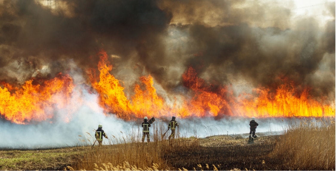 Wildlandfire