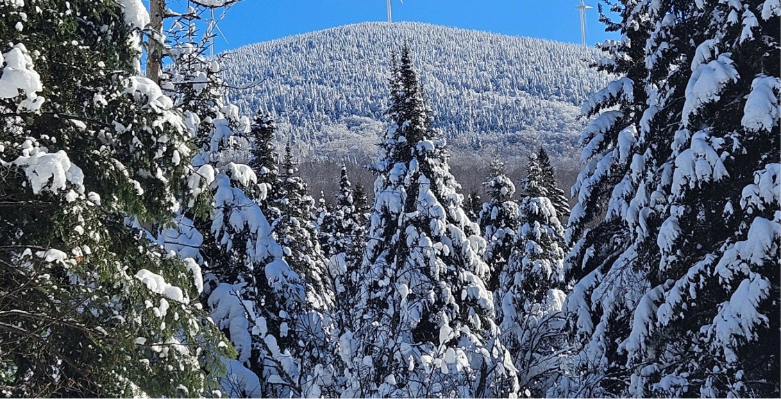 Wintermanagement