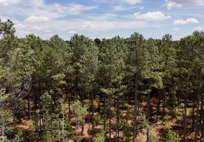 Chowan Drone Photo 13