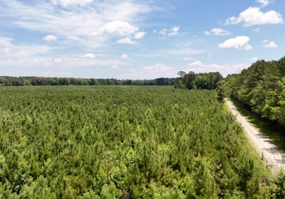 Chowan Drone Photo 19