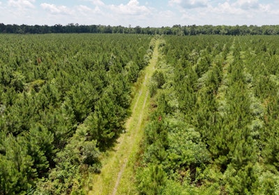 Chowan Drone Photo 28