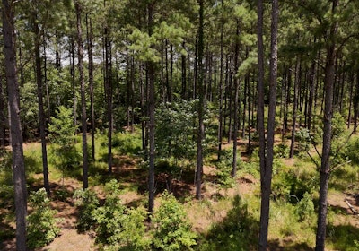 Chowan Drone Photo 3