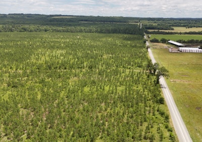 Gretna Drone Photo 16