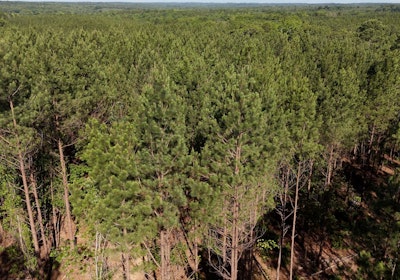 Gretna Drone Photo 2