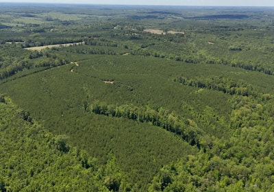 Gretna Drone Photo 24