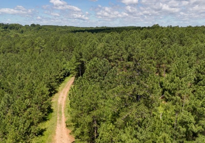 Gretna Drone Photo 6