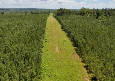 Gretna Drone Photo 8