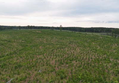 Lunenburg Drone Photo 16