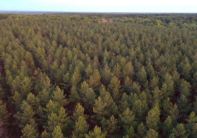 Lunenburg Drone Photo 27