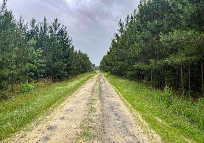 REV Dilday Property Internal Access Road