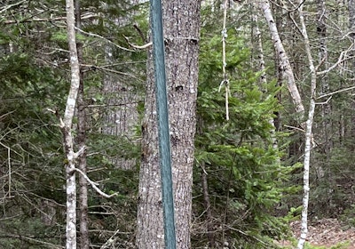Goldfind Way Sign