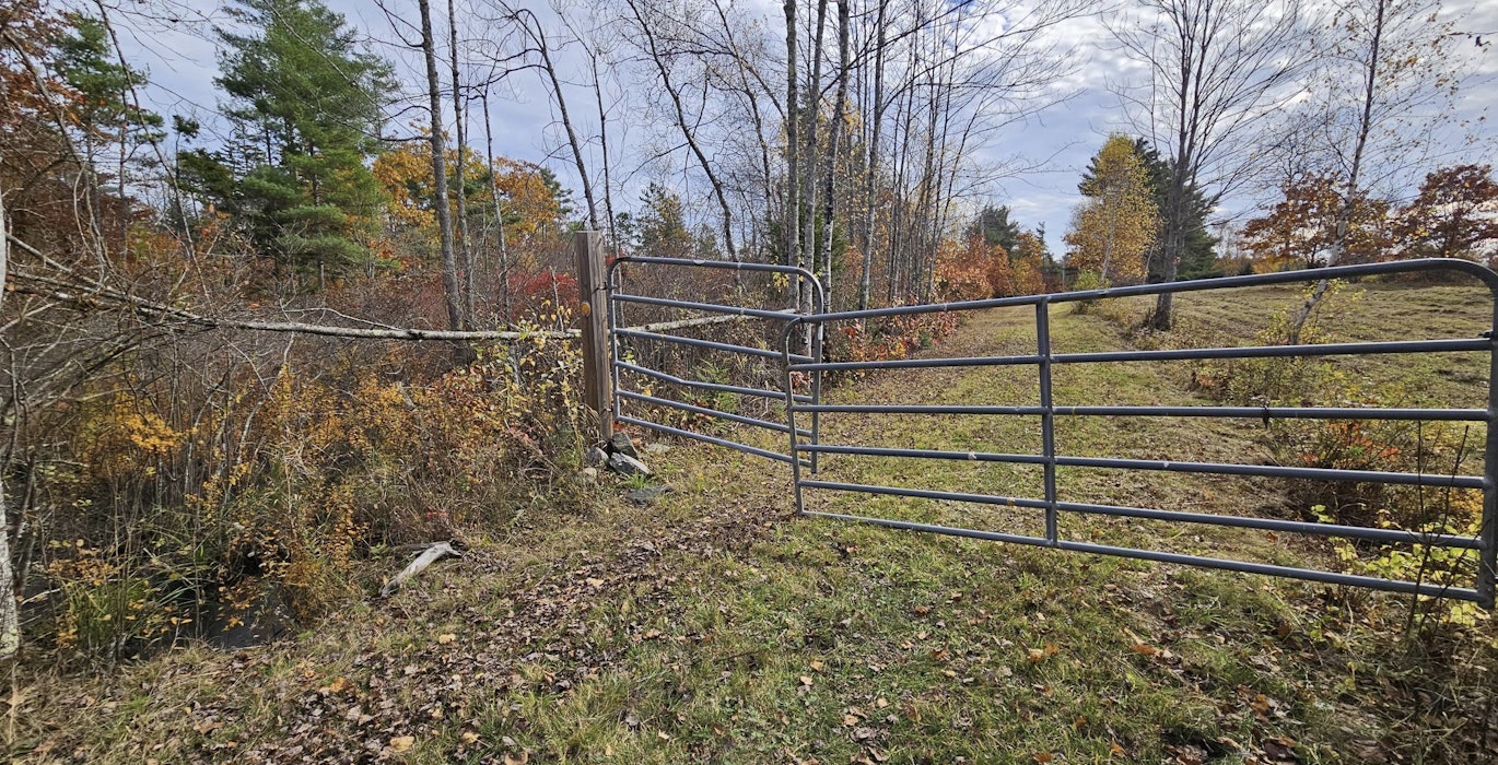 Neighbors gate along boundary line