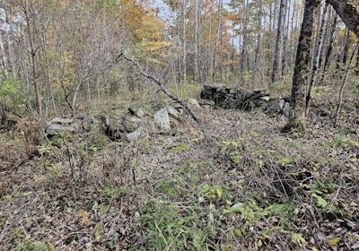 Old Homestead site 2