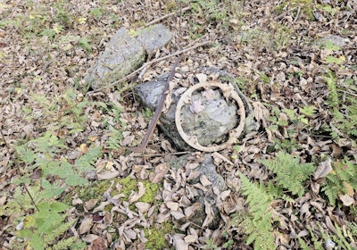 Old Homestead site artifacts