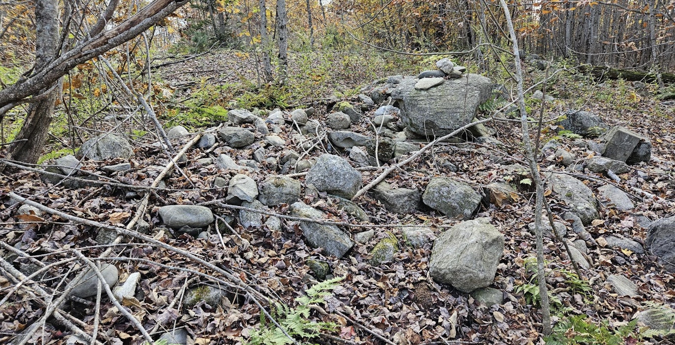 Old homestead site