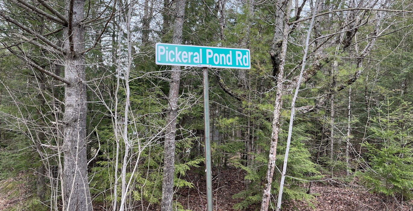 Pickeral Pond Road