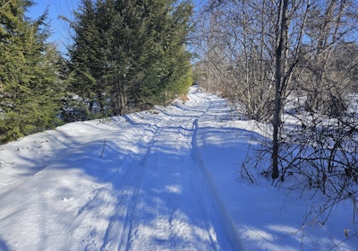 Snowmobile trail looking east