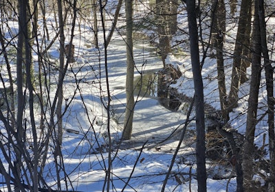 Stream from snowmobile trail