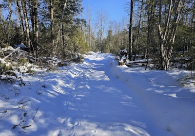 Trail along northwest boundary 2