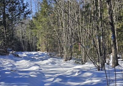 Trail along northwest boundary