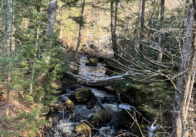 Intermittent stream from road