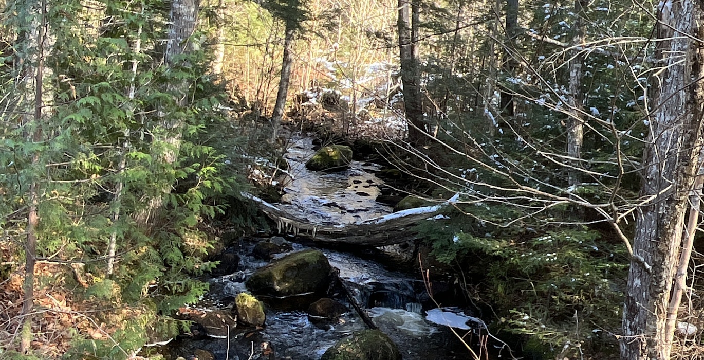 Intermittent stream from road
