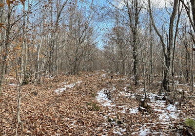 Old skidder trails for access into the lots