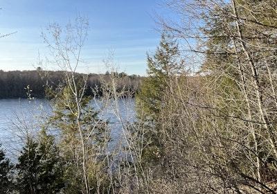 River view 1