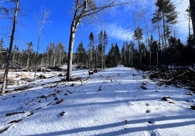 Skidder trail access to the back of the lot