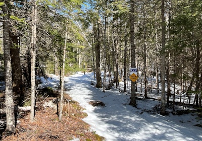Snowmobile trail 4